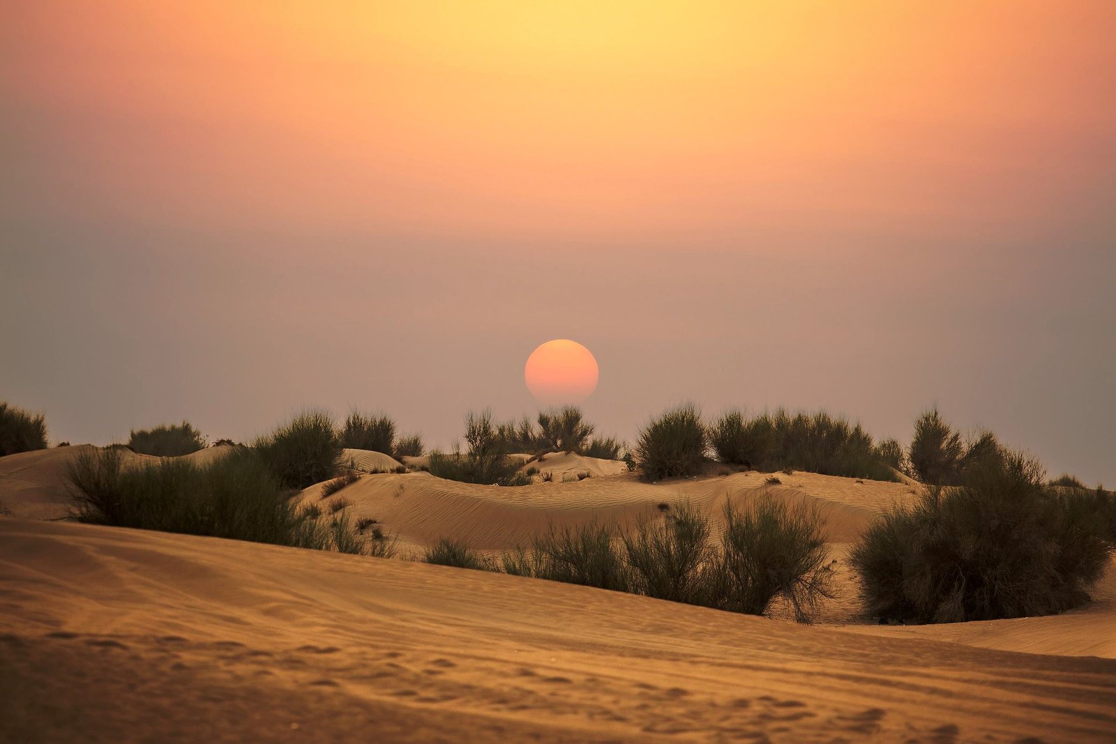 Sunset over the Dubai dunes